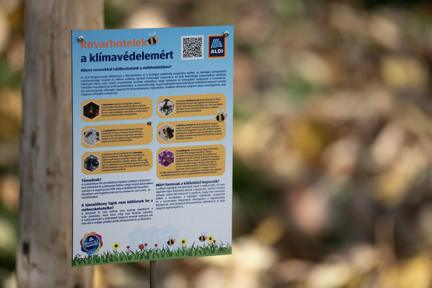 Rovarhotel telepítés Pécs