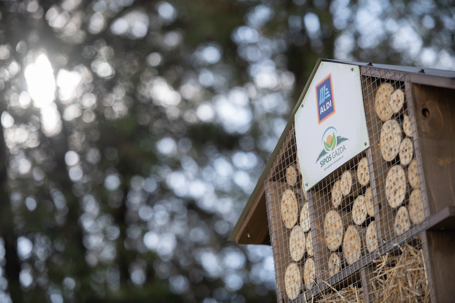 Rovarhotel telepítés Pécs