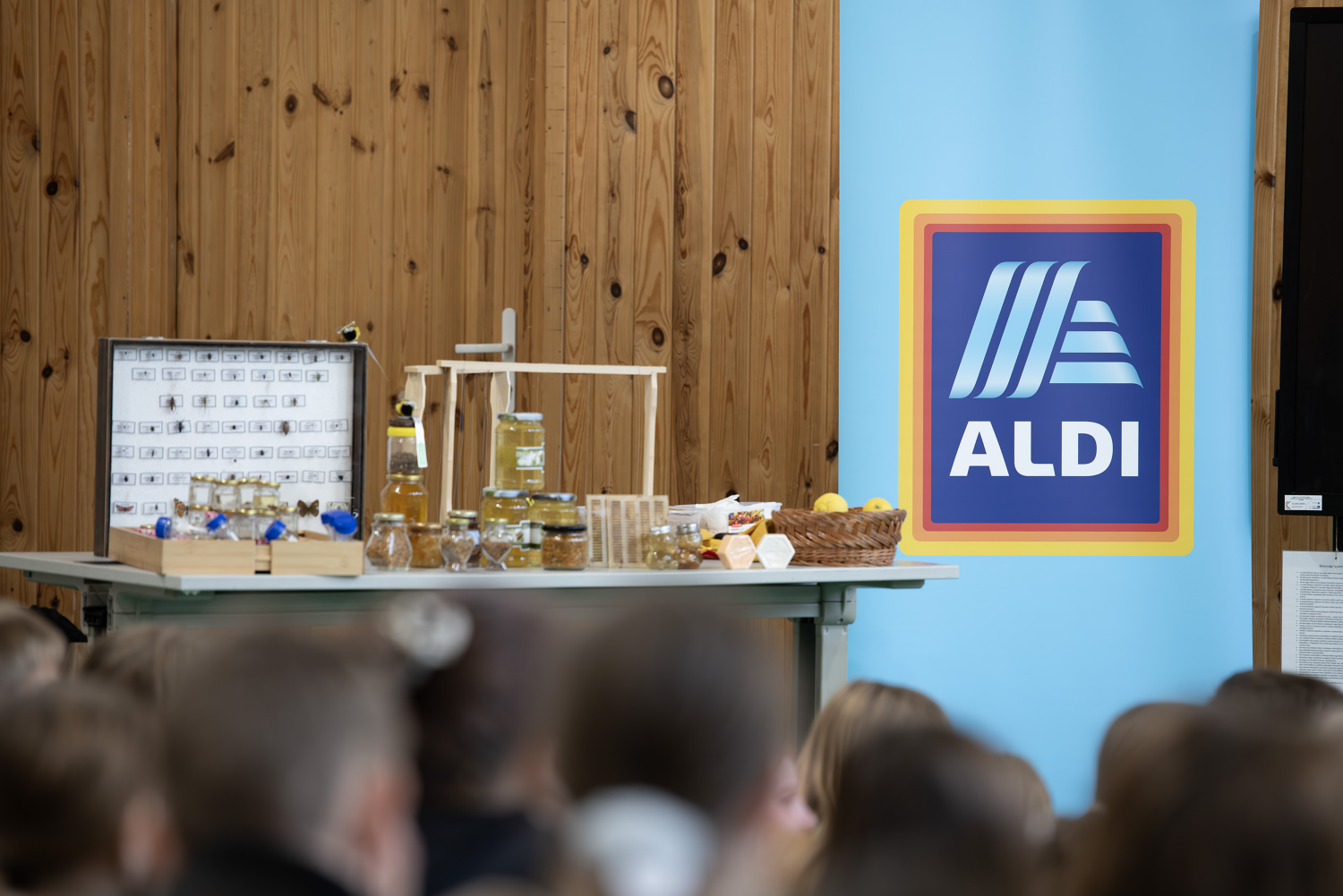 Rovarhotel telepítés Pécs