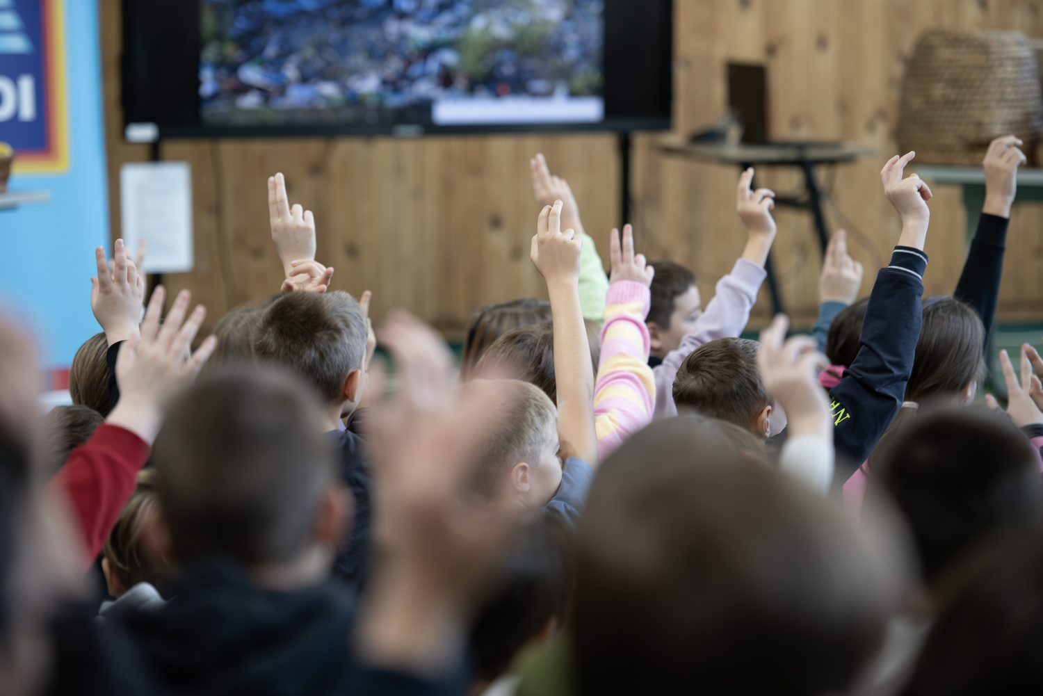 Rovarhotel telepítés Pécs