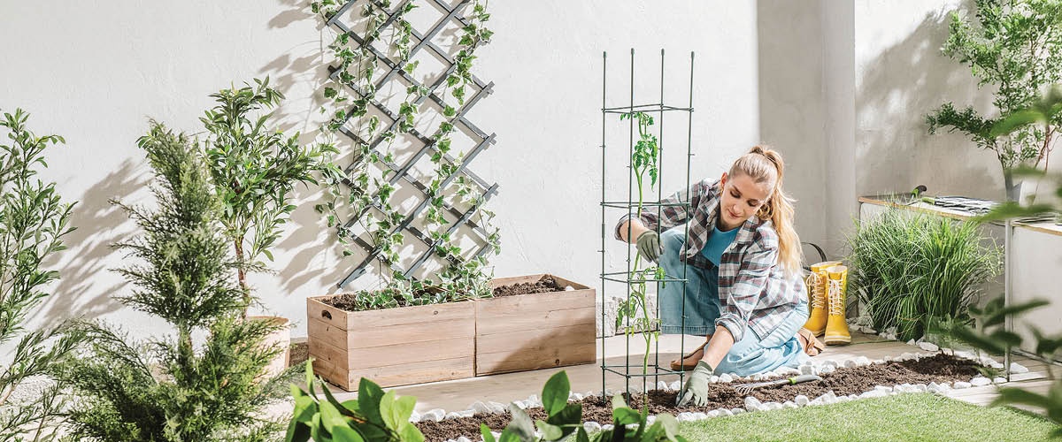 Kerti ajánlatok az ALDI-tól