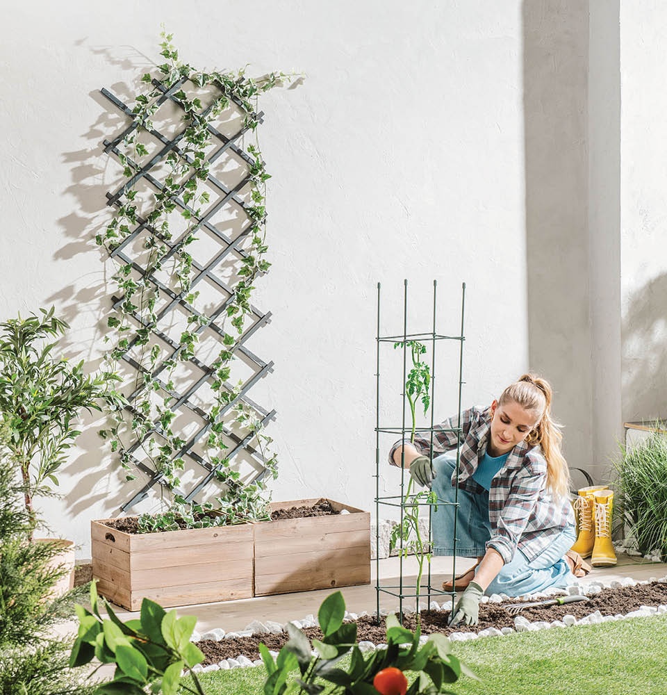 Kerti ajánlatok az ALDI-tól