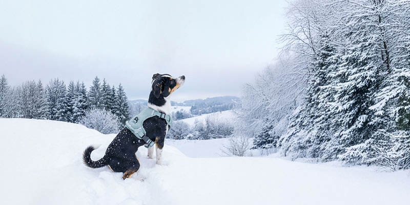 2025.12.28., VASÁRNAPTÓL