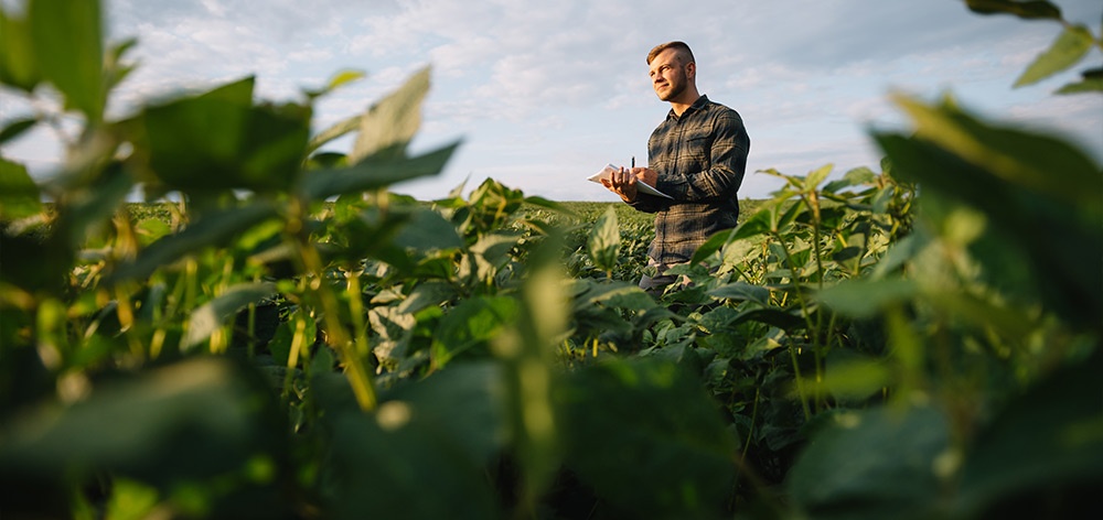 Agricoltura integrata