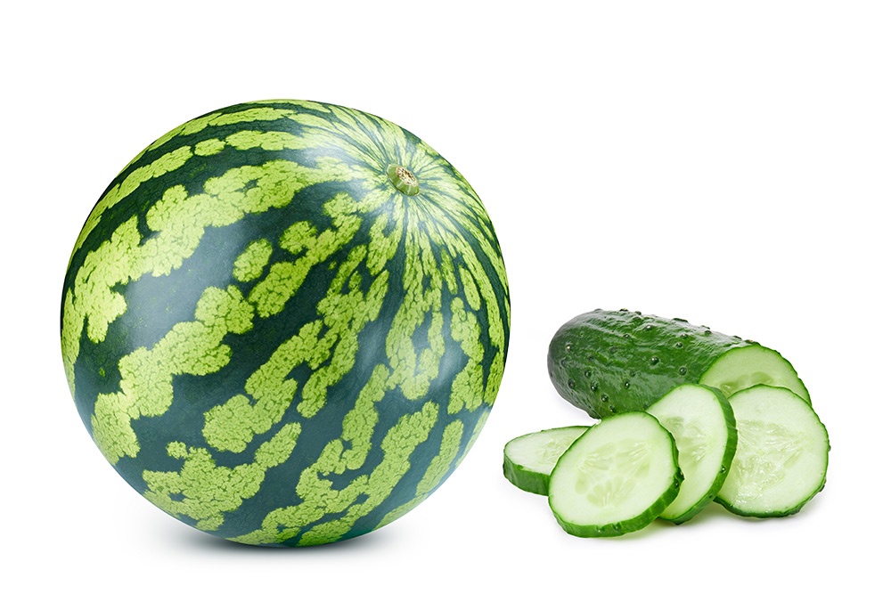 Anguria e cetriolo