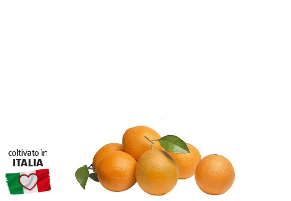 Arance Navel BIO 1 kg