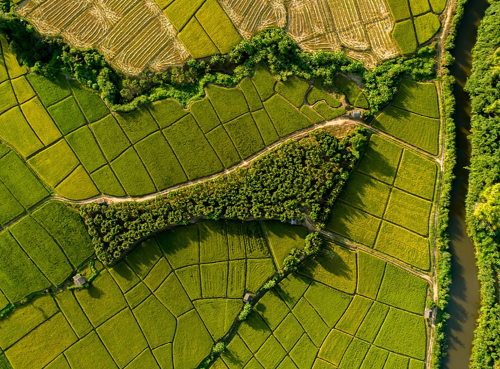 Arrichhimento della biodiversità