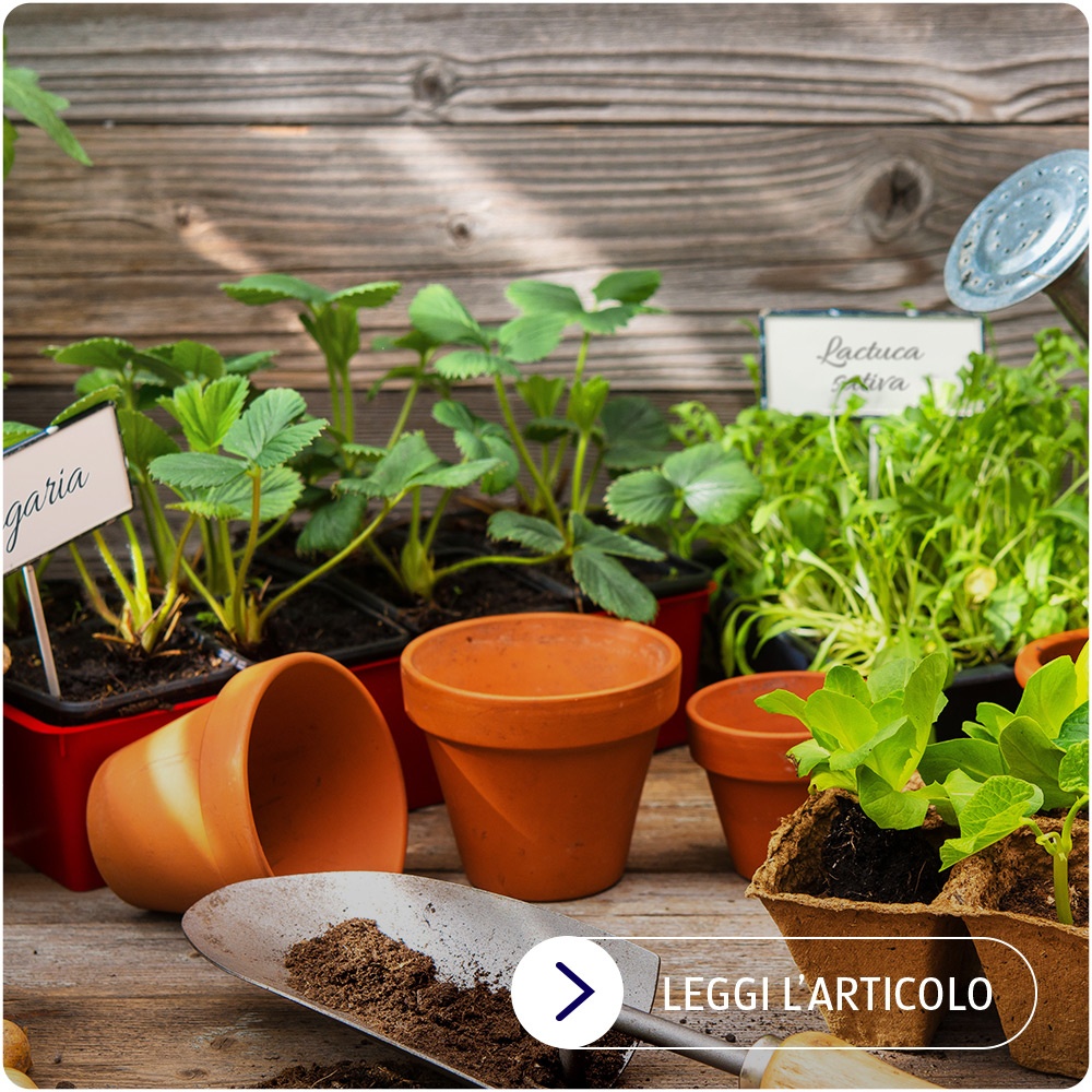 Calendario della semina