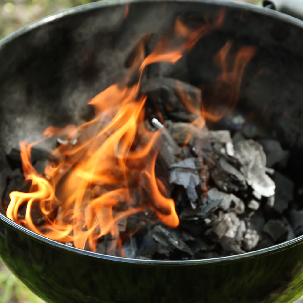 Come scegliere griglia e carbonella