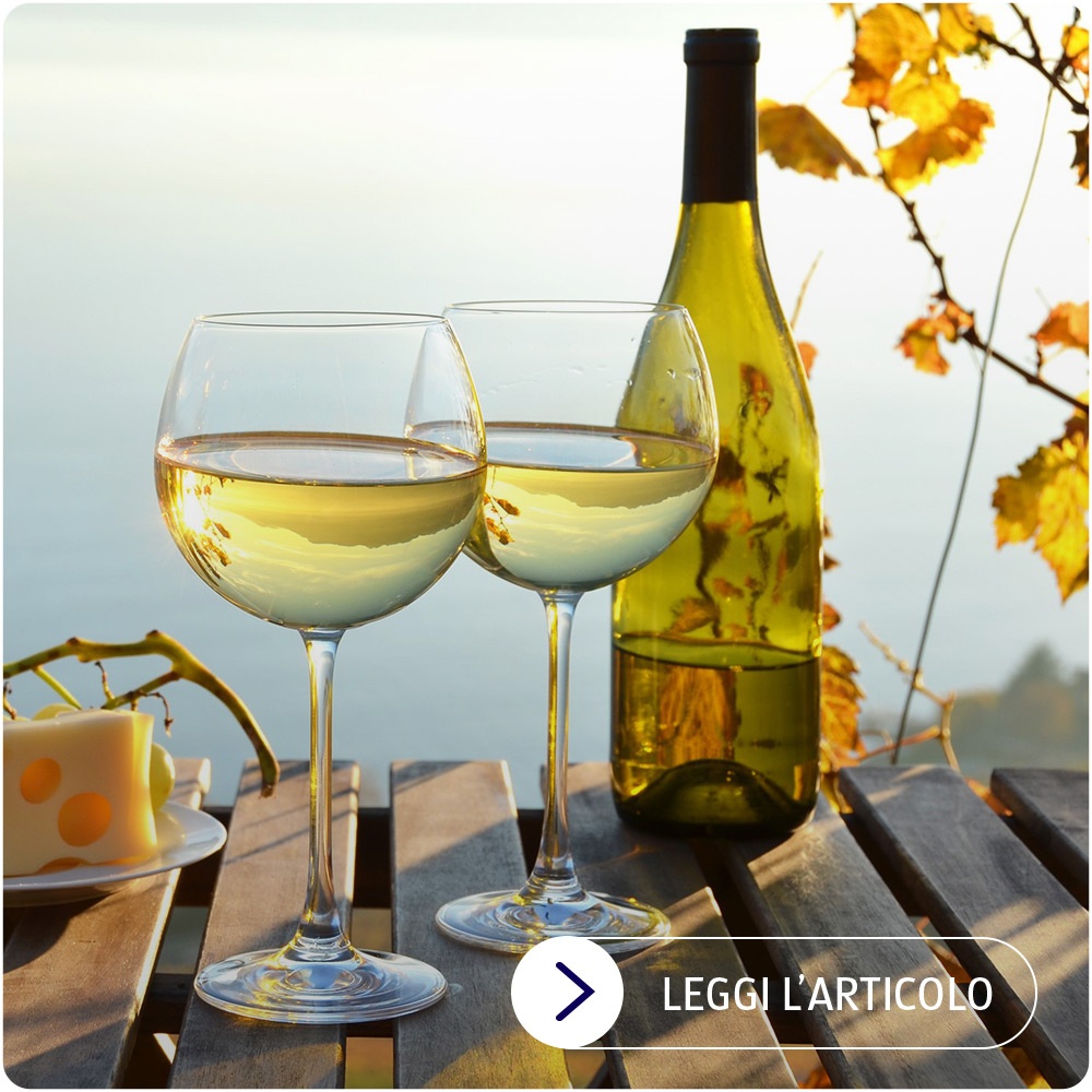 Abbinamento cibo vino