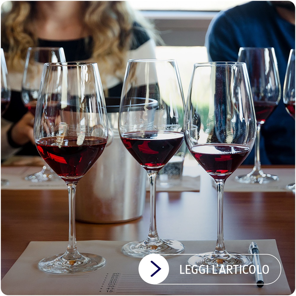 Come degustare il vino