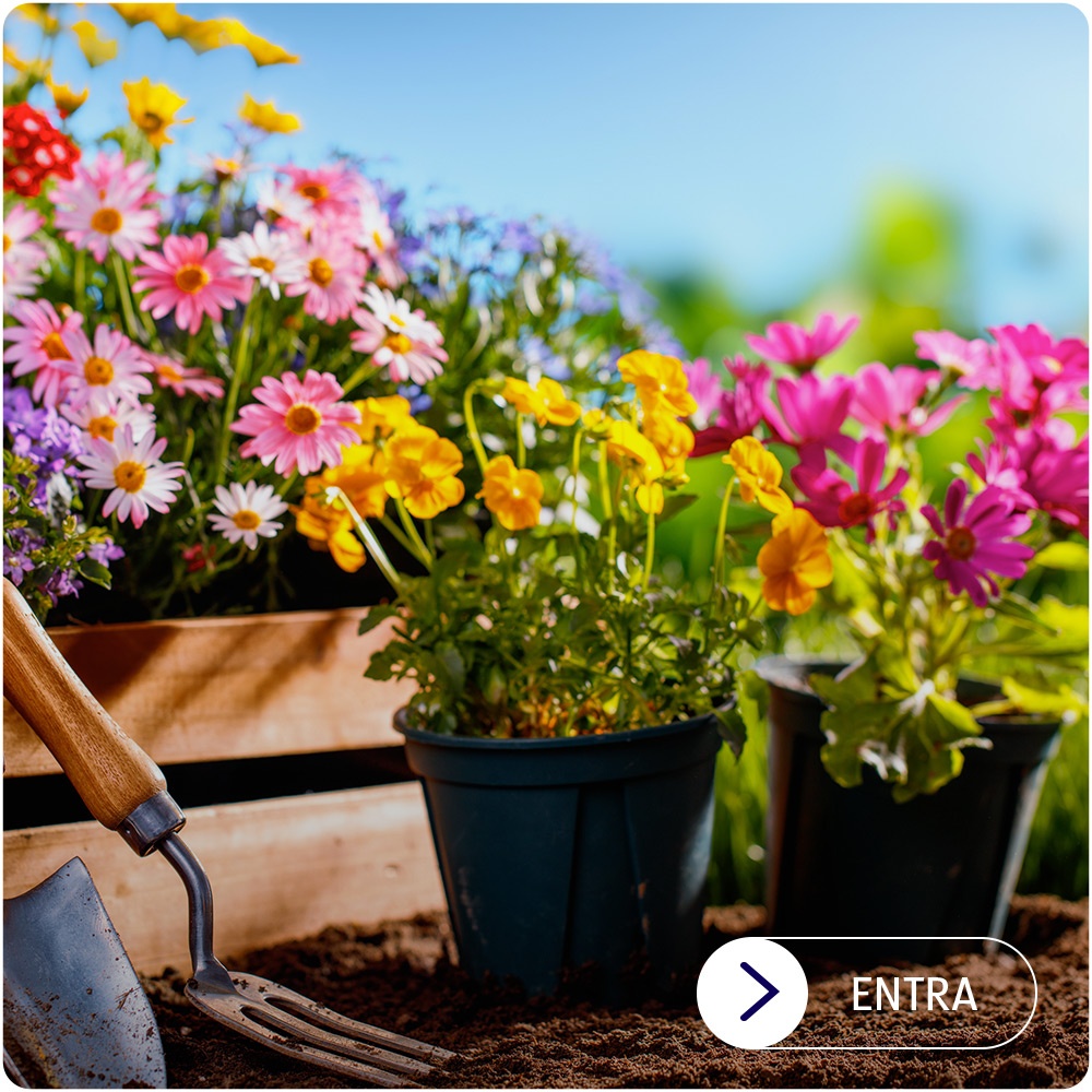 Idee originali per il giardinaggio