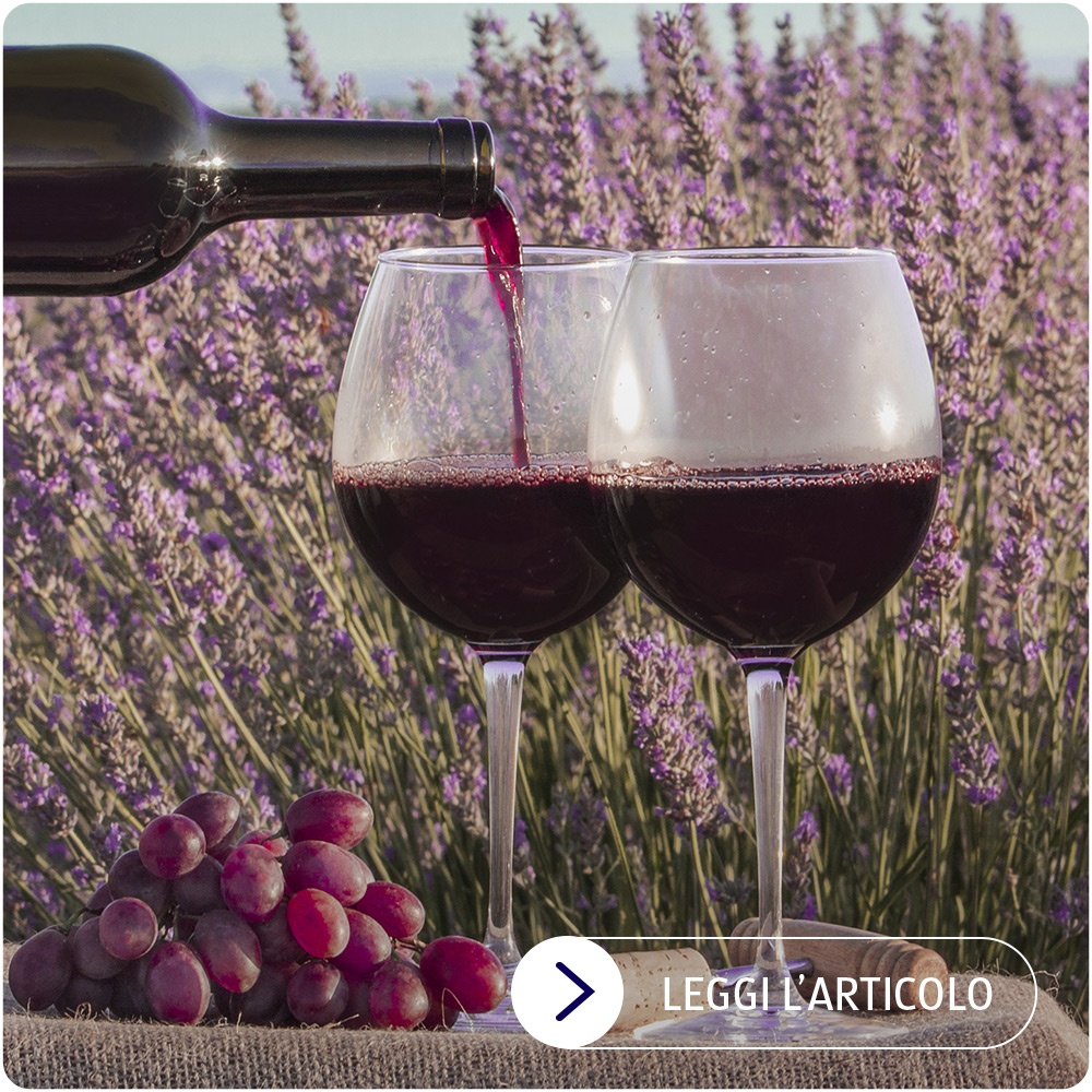 Vii francesi vs vini italiani