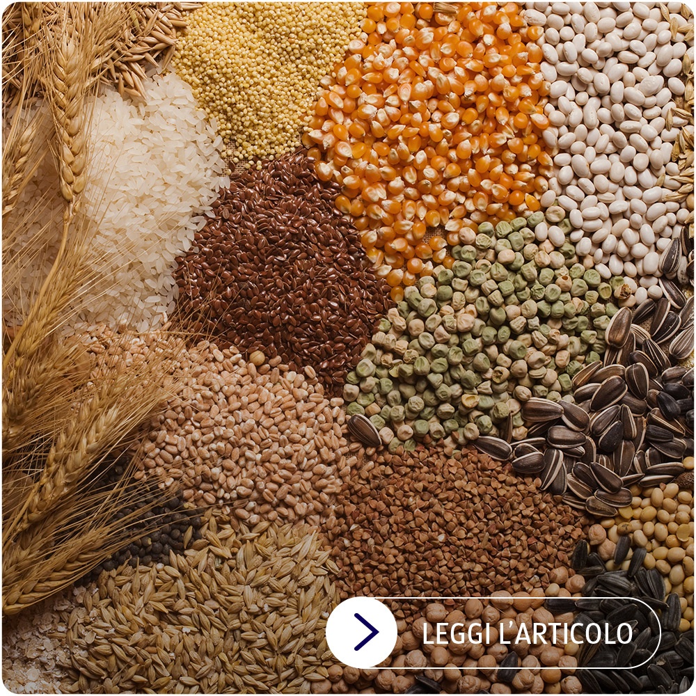 Cereali nella dieta