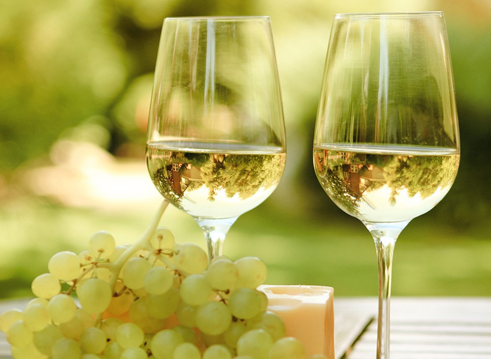 Come scegliere il miglior traminer