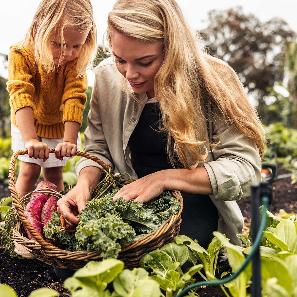 Alimentazione sostenibile
