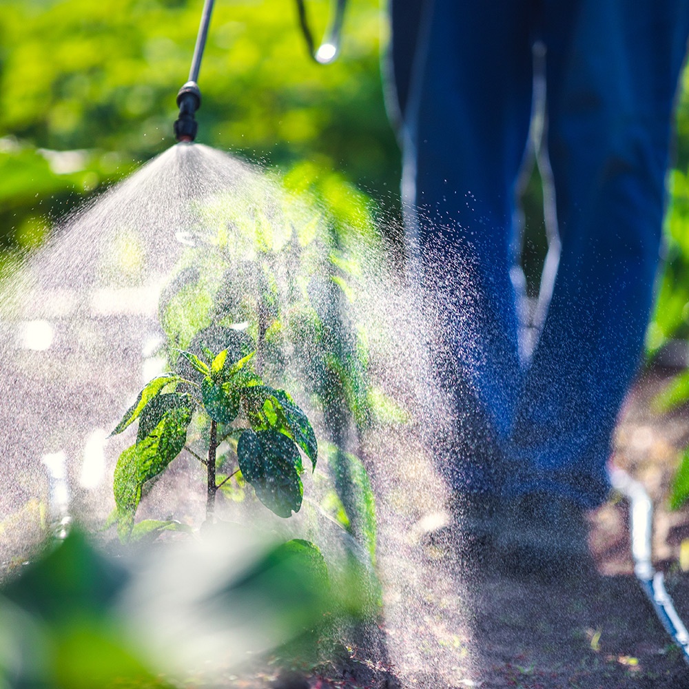 Fertilizzanti e concimi biologici