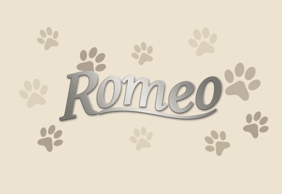 ROMEO