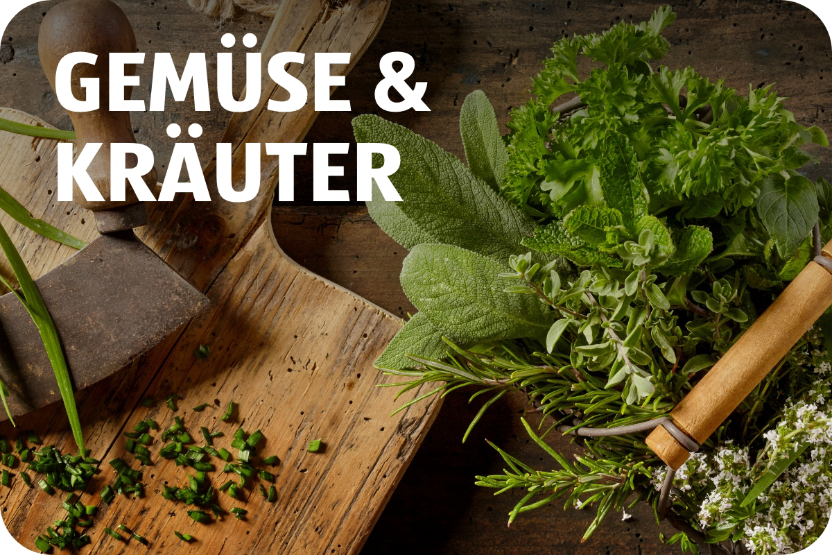 Gemüse & Kräuter