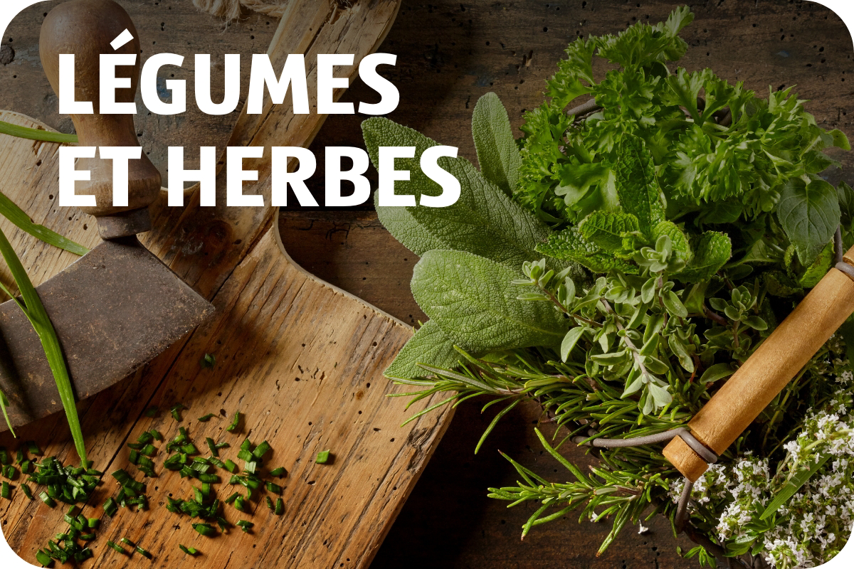 Gemüse & Kräuter FR