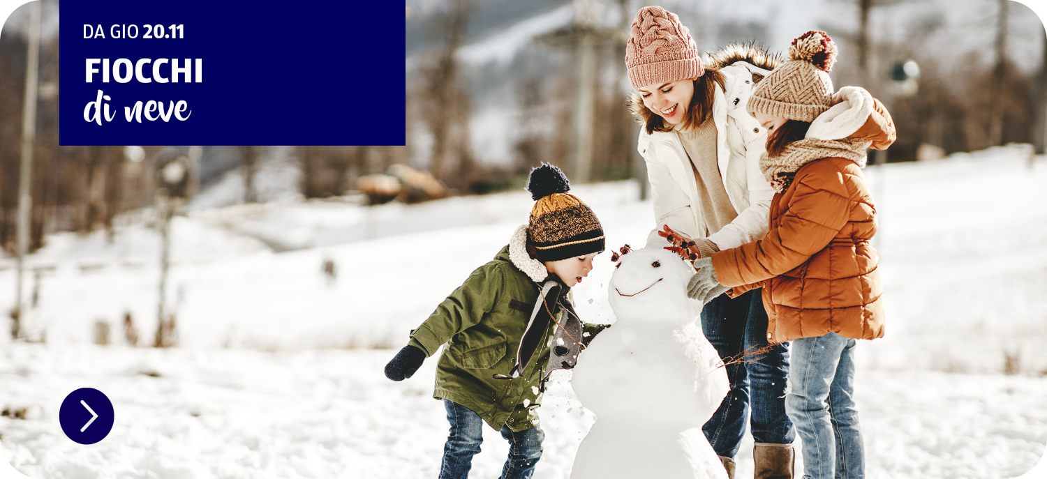 Fiocchi di neve
