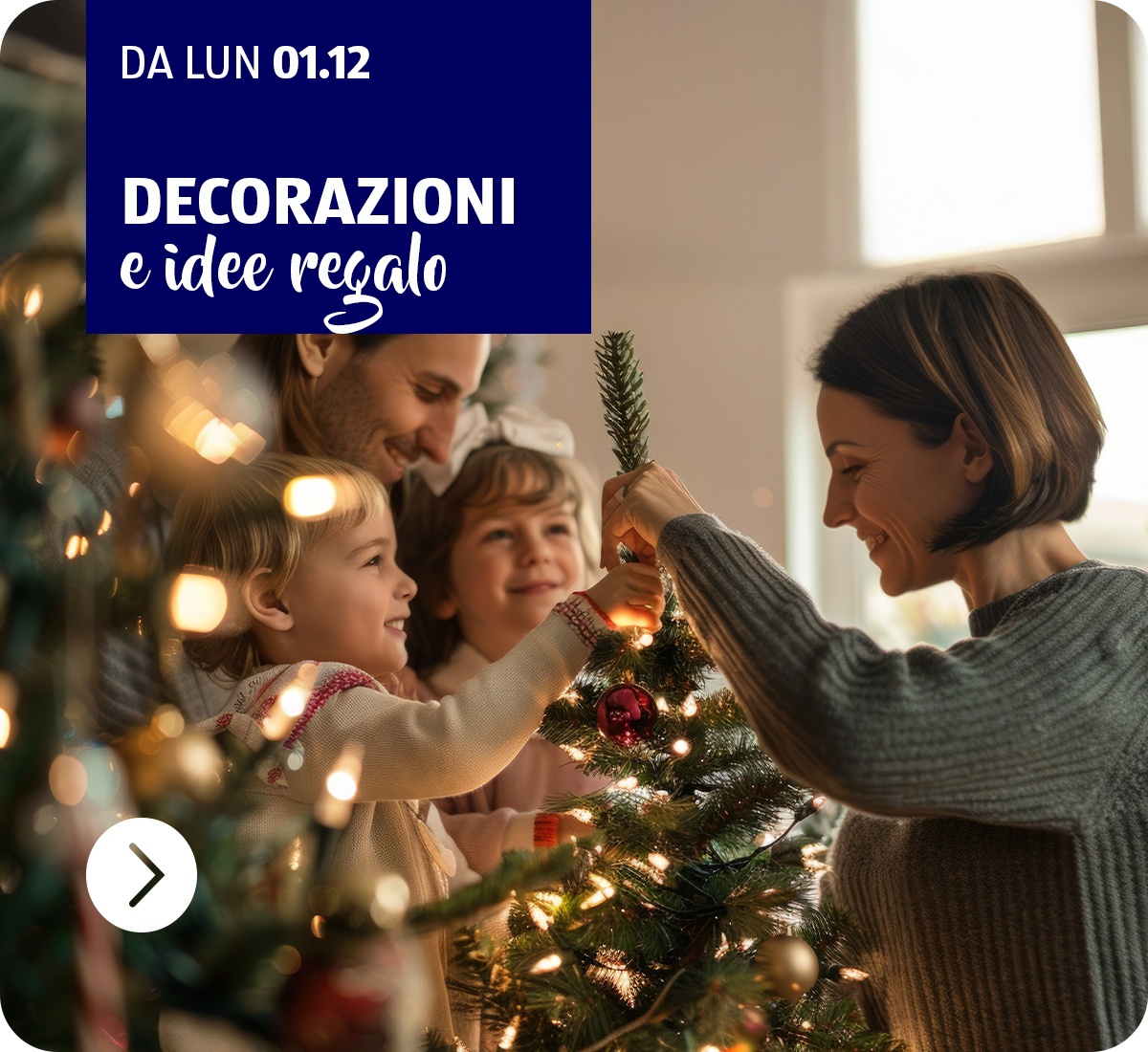 Decorazioni e idee regalo