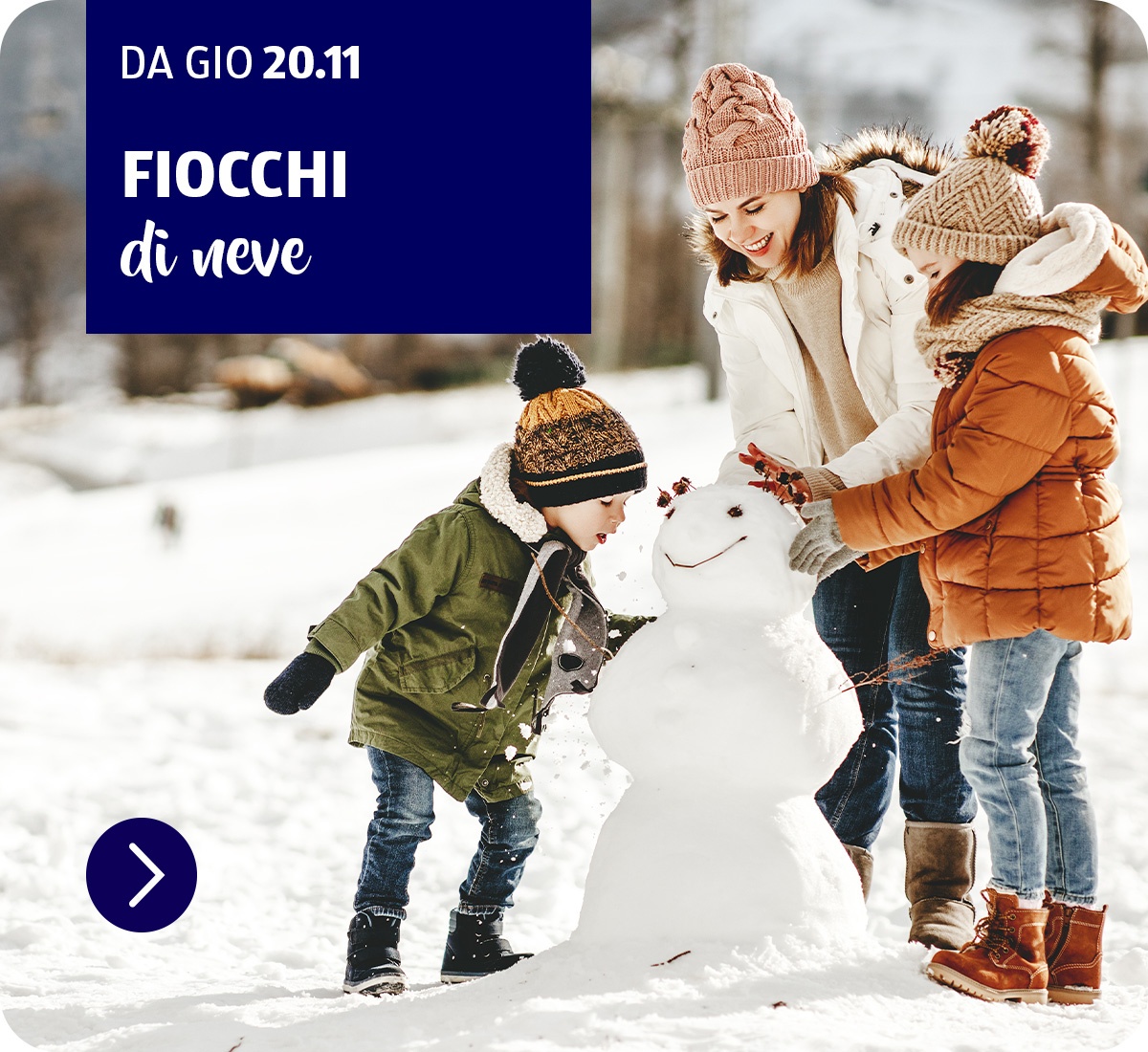 Fiocchi di neve