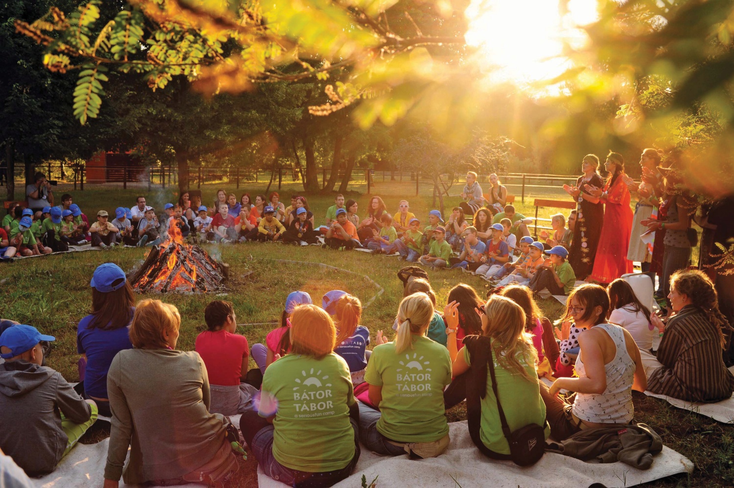 Az ALDI-üzletek harmadánál napelem fog működni