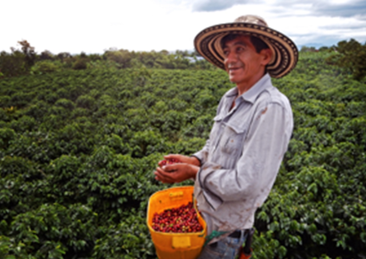 Potere certificazione