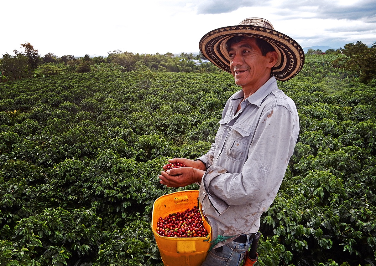 Potere certificazione