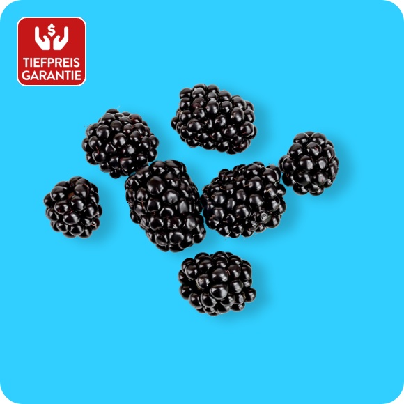 Brombeeren