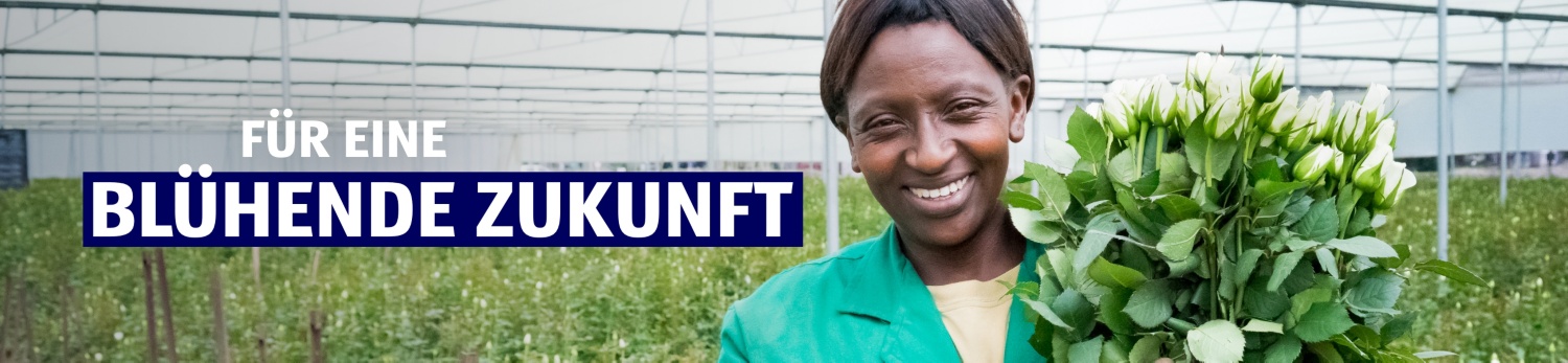 ALDI SUISSE – CR Blumen & Pflanzen