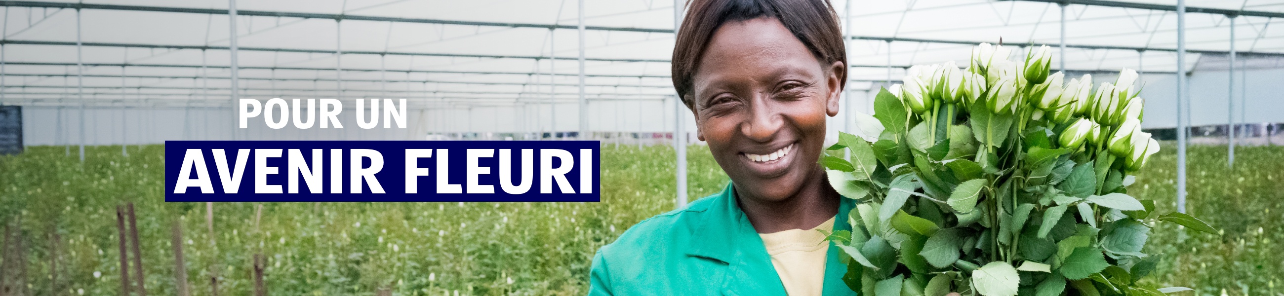 Responsabilité d’entreprise – Fleurs et plantes