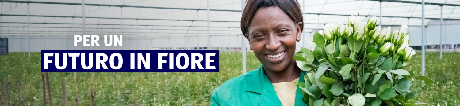 ALDI SUISSE – CR Fiori & Piante