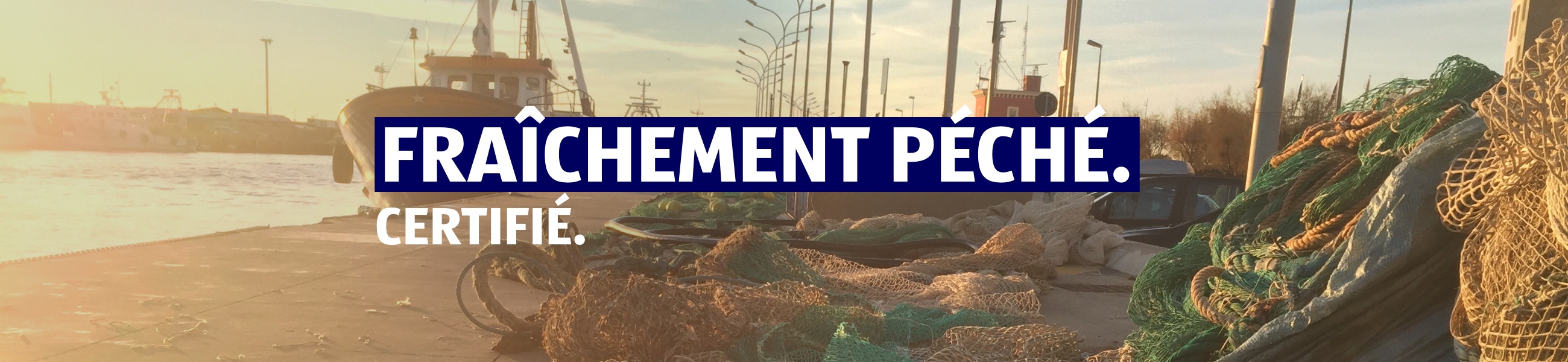 Responsabilité d’entreprise – Poissons et fruits de mer