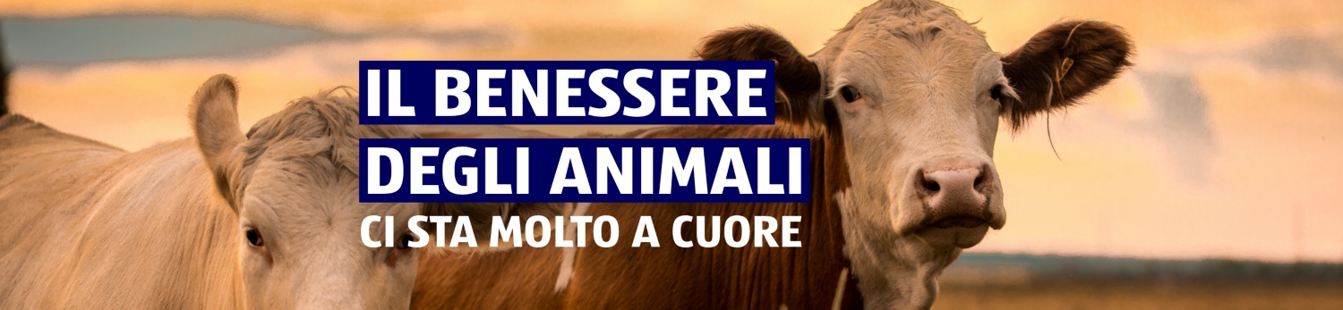 ALDI SUISSE – CR Carne & Uova