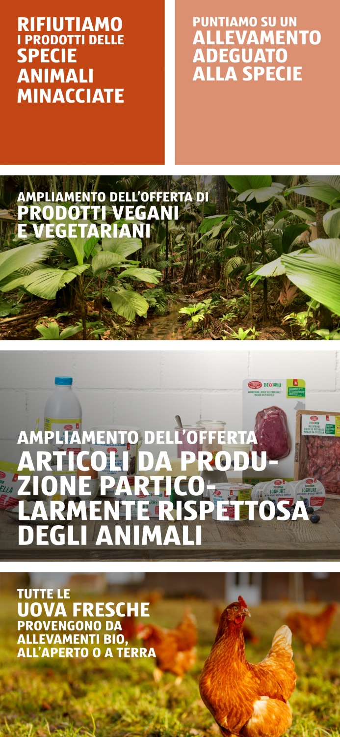 Carne, uova e latte