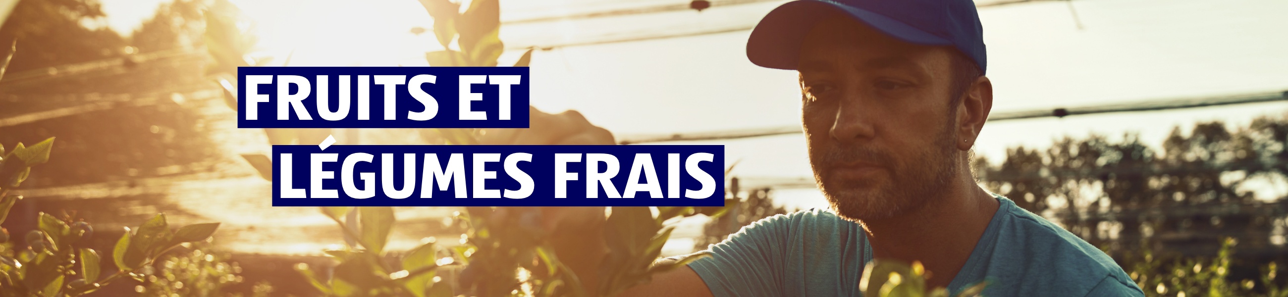 Responsabilité d’entreprise – Fruits et légumes
