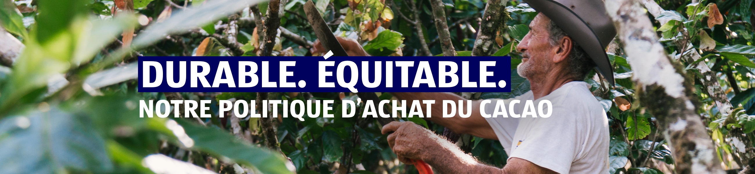 Responsabilité d’entreprise – Chocolat et produits à base de cacao