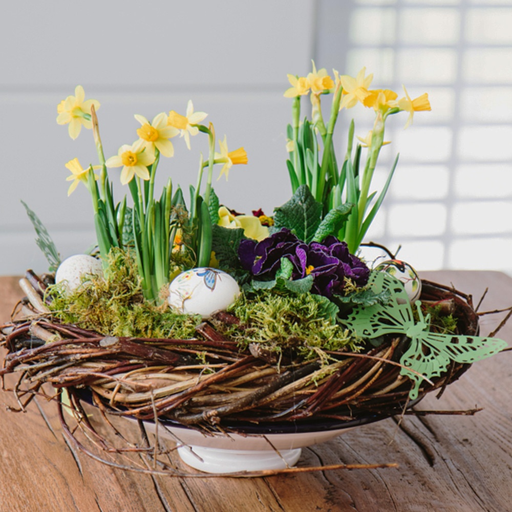 Cantrotavola pasquali