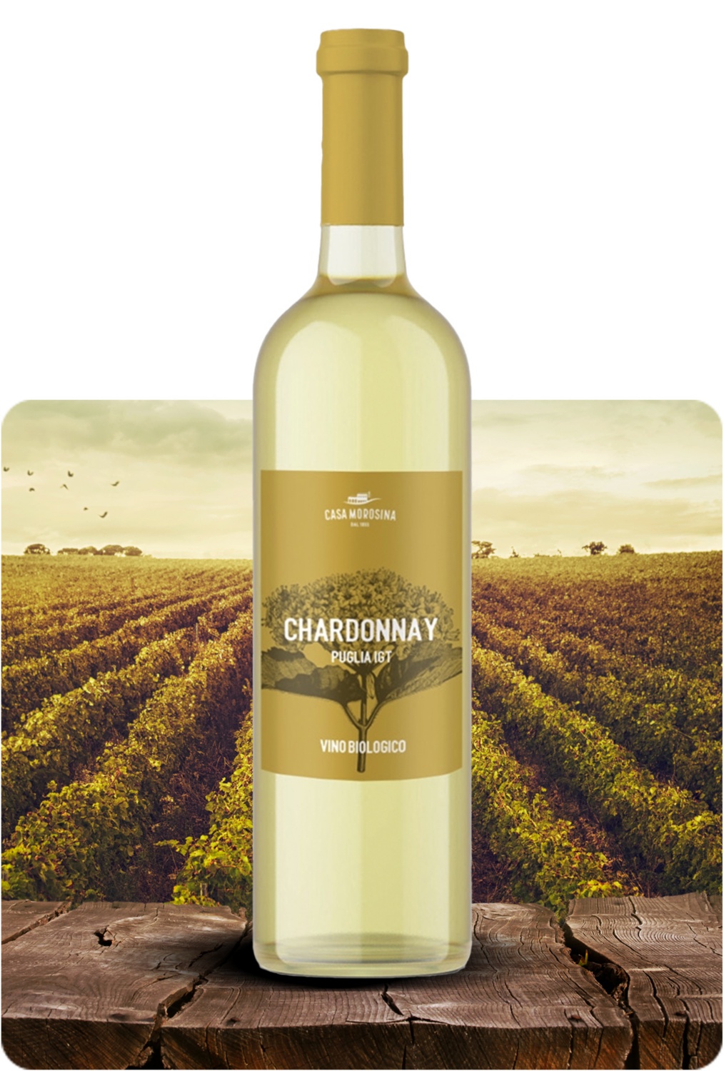 Chardonnay Puglia BIO