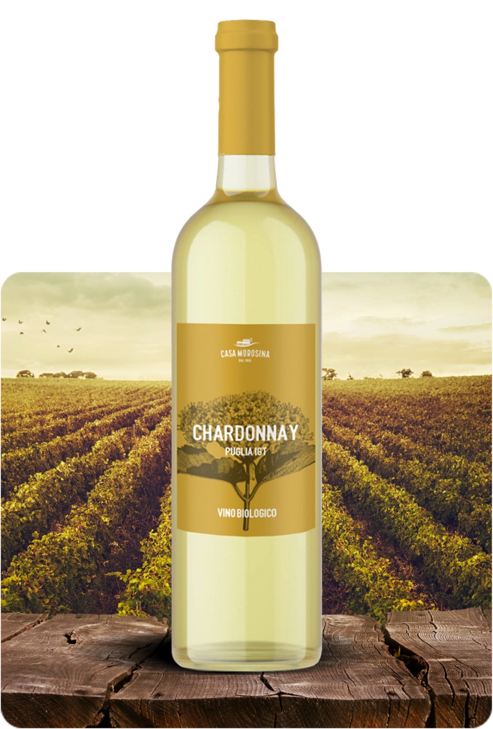 Chardonnay Puglia BIO 
