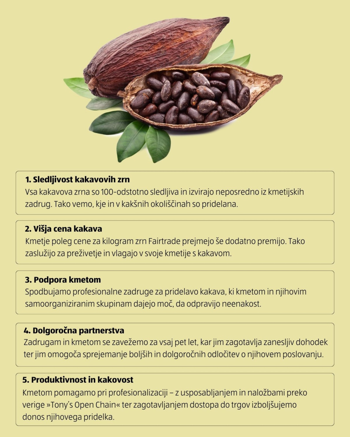 Fotografija prerezanega kakava s posušenimi zrni 