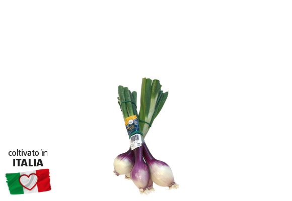 REGIONE CHE VAI Cipollotti di Tropea IGP 500 g