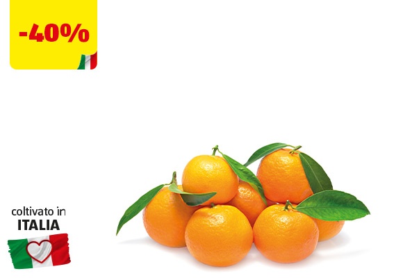 I COLORI DEL SAPORE Clementine con foglia