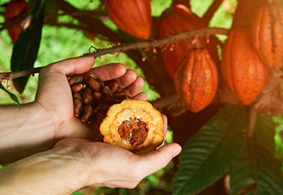 Giornata Mondiale del Commercio Equo Solidale