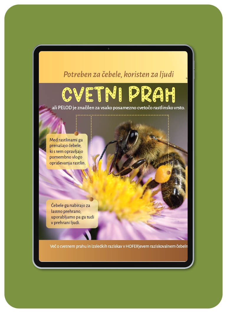 Brošura o cvetnem prahu