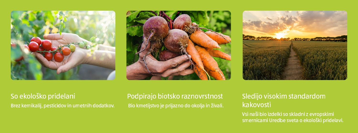 Infografika Bio izdelki