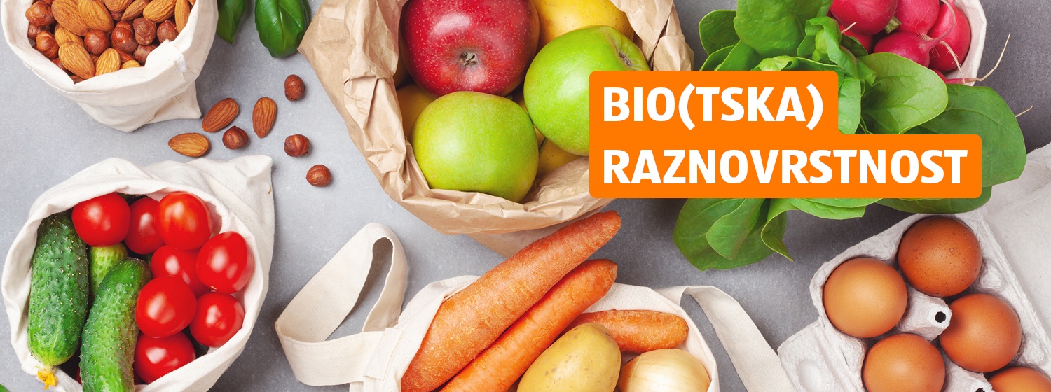 Hrana v vrečjah na sivi podlagi