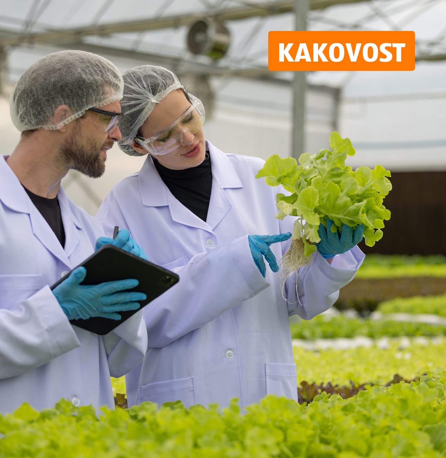 Znanstvenika si ogledujeta solato